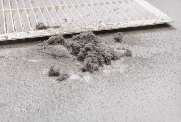 Best Professional Duct Cleaning Services  in Mcelhattan, PA